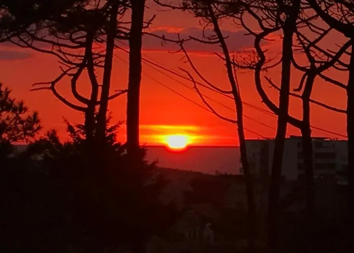 Villa Sunset 1 Prestigious Heated Swimming Pool Sea View For 8 People Lacanau